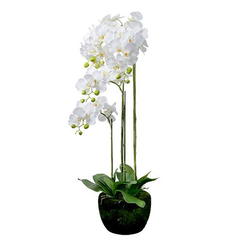 Floristik24 Valkoinen orkidea maapallolla 110cm