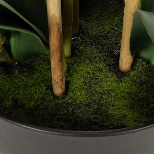 kohteita Keinotekoinen orkidea ruukussa harmonisen tunnelman luomiseksi, valkoinen, 60 cm