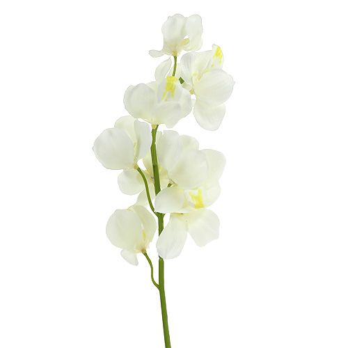 Keinotekoinen orkideavoide 50cm 6kpl