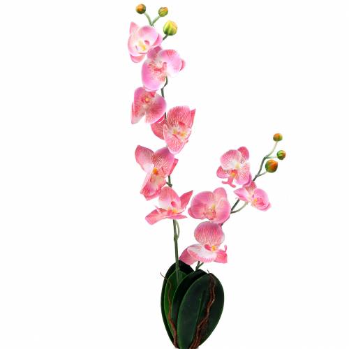 Orkidea Phalaenopsis keinotekoinen vaaleanpunainen 60cm