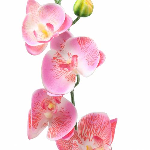 Orkidea Phalaenopsis keinotekoinen vaaleanpunainen 60cm | Floristik24.fi