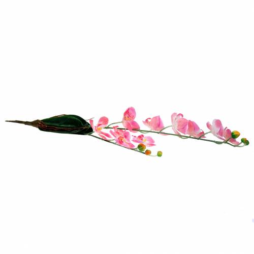 Orkidea Phalaenopsis keinotekoinen vaaleanpunainen 60cm | Floristik24.fi