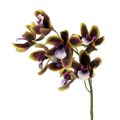 Floristik24 Orkidea Cymbidium Green, violetti L38cm 4kpl