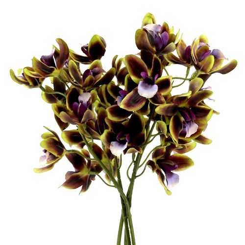 Floristik24 Orkidea Cymbidium Green, violetti L38cm 4kpl