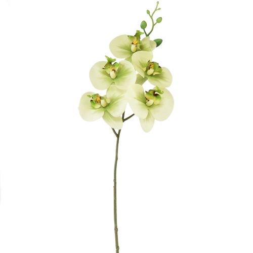 Orkidea Keinotekoinen Keltainen Vihreä Phalaenopsis 85cm
