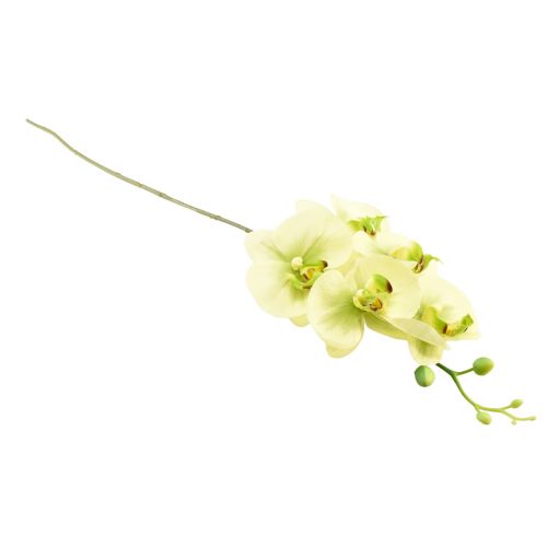 kohteita Orkidea Keinotekoinen Keltainen Vihreä Phalaenopsis 85cm