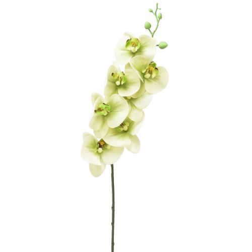 Orkidea Keinotekoinen Keltainen Vihreä Phalaenopsis L83cm