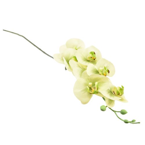 kohteita Orkidea Keinotekoinen Keltainen Vihreä Phalaenopsis L83cm