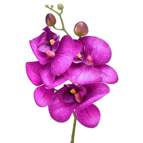 Orchid Artificial Phalaenopsis 4 kukkaa Fuksia 72cm