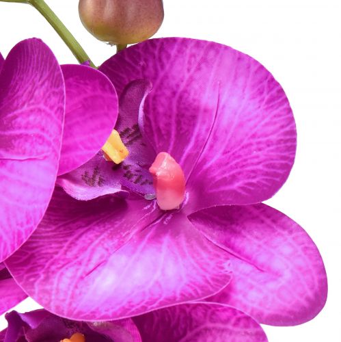 kohteita Orchid Artificial Phalaenopsis 4 kukkaa Fuksia 72cm