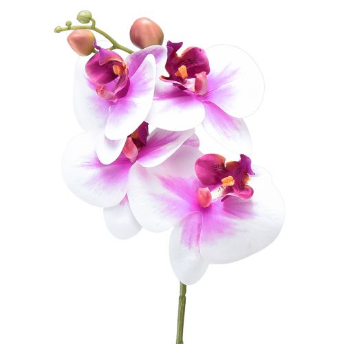 Orchid Artificial Phalaenopsis 4 Flowers Valkoinen Pinkki 72cm
