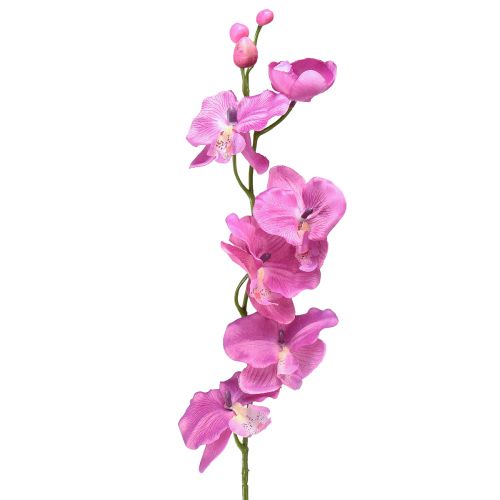 Orchid Phalaenopsis keinotekoinen 6 kukkaa violetti 70cm