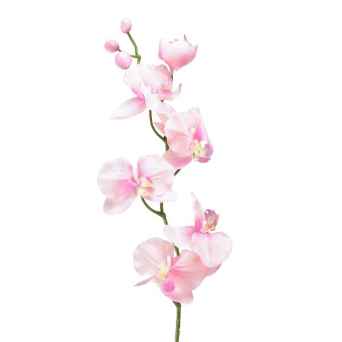Orchid Phalaenopsis keinotekoinen 6 kukkaa vaaleanpunainen 70cm