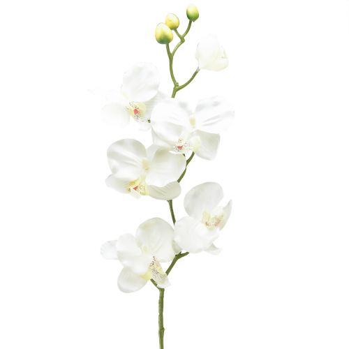 Orchid Phalaenopsis keinotekoinen 6 kukkaa valkoinen kerma 70cm