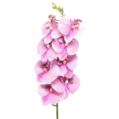 Orchid Phalaenopsis keinotekoinen 8 kukkaa vaaleanpunainen 104cm
