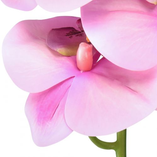 kohteita Orchid Phalaenopsis keinotekoinen 8 kukkaa vaaleanpunainen 104cm