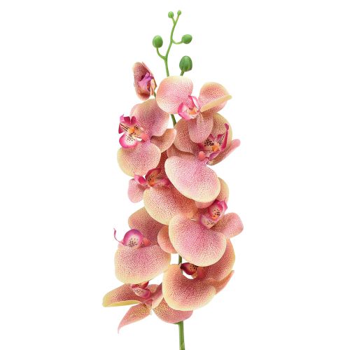 kohteita Orchid Phalaenopsis keinotekoinen 9 kukkaa vaaleanpunainen vanilja 96cm