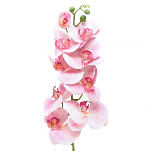 Floristik24 Orchid Phalaenopsis keinotekoiset 9 kukkaa vaaleanpunainen valkoinen 96cm