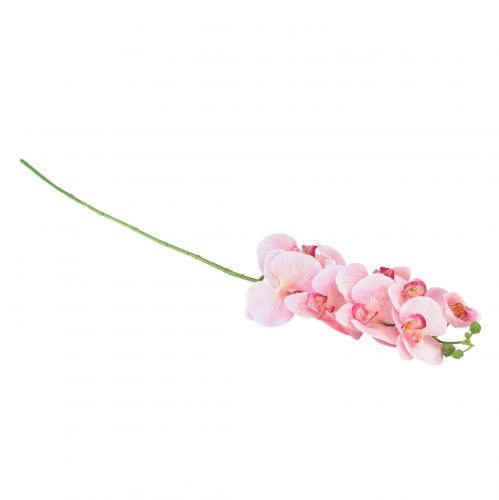 kohteita Orchid Phalaenopsis keinotekoiset 9 kukkaa vaaleanpunainen valkoinen 96cm
