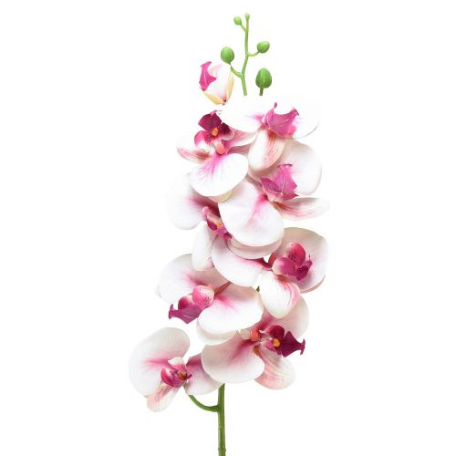 kohteita Orchid Phalaenopsis keinotekoinen 9 kukkaa valkoinen fuksia 96cm