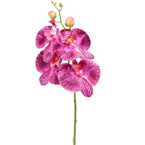 Orkidea liekki keinotekoinen Phalaenopsis violetti 72cm
