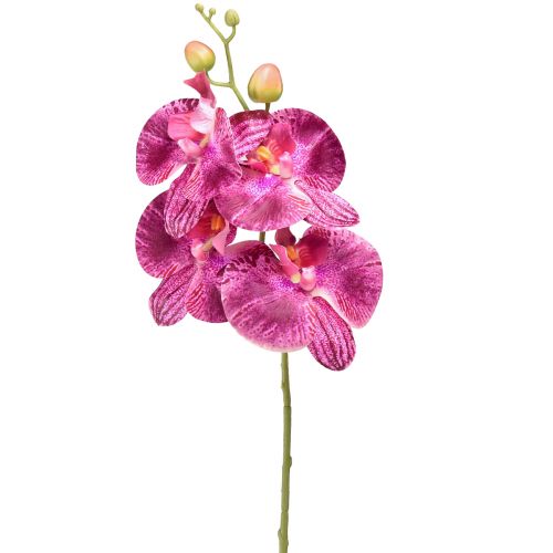 kohteita Orkidea liekki keinotekoinen Phalaenopsis violetti 72cm