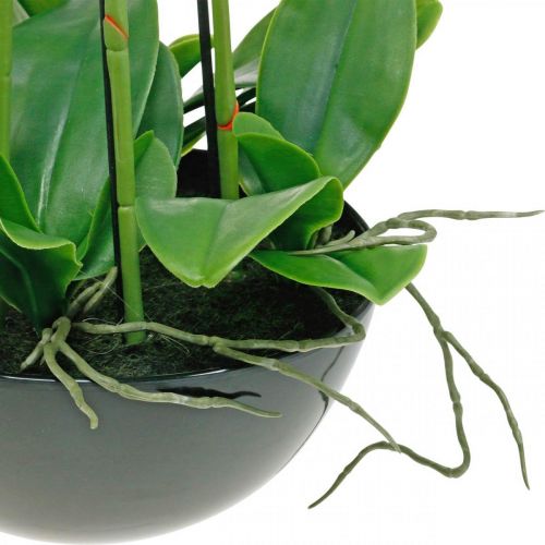 Floristik24 Keinotekoiset orkideat ruukussa valkoinen tekokasvi 63cm