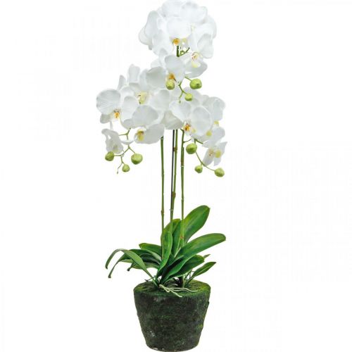 kohteita Keinotekoiset orkideat ruukulle valkoinen 80cm