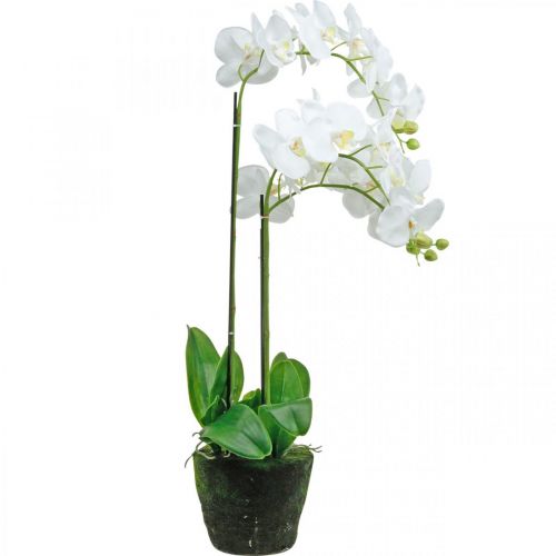kohteita Keinotekoiset orkideat ruukulle valkoinen 80cm