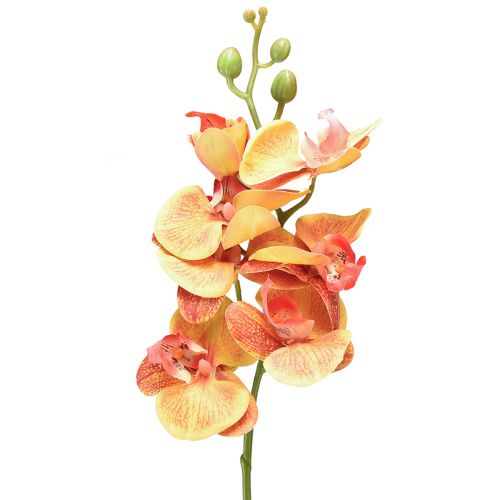 Floristik24 Keinotekoinen orkidea Phalaenopsis liekkipunainen keltainen 78cm