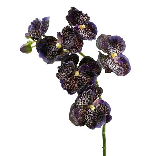 Floristik24 Orkidea Vanda keinotekoinen violetti L 44cm
