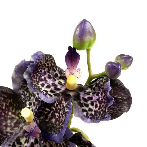 Floristik24 Orkidea Vanda keinotekoinen violetti L 44cm