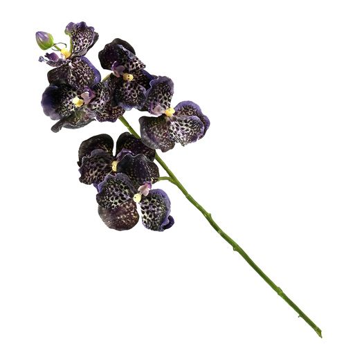 Floristik24 Orkidea Vanda keinotekoinen violetti L 44cm