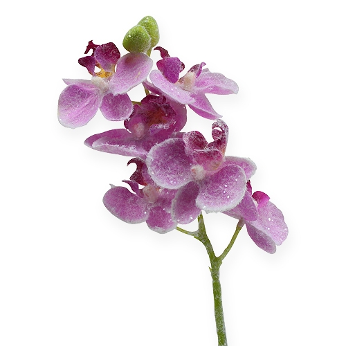 Orkidea kimalluksella, vaaleanpunainen 35cm
