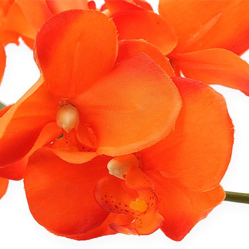 kohteita Orkideahaara oranssi 61cm