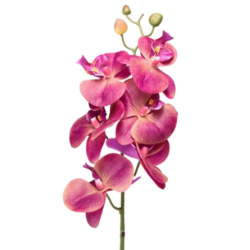 Keinotekoinen orkidea Phalaenopsis Orchid Fuchsia 78cm