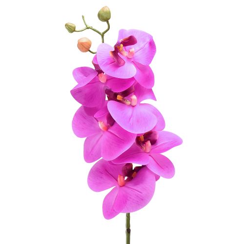 Keinotekoinen orkidea Phalaenopsis Orchid Pink 78cm