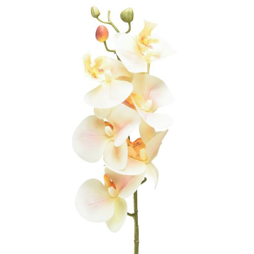 kohteita Keinotekoinen Orchid Cream Oranssi Phalaenopsis 78cm