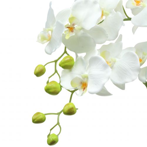 kohteita Valkoinen orkidea 118cm pallossa