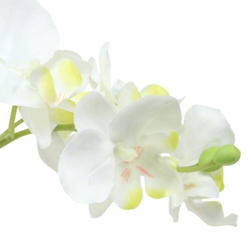 kohteita Orkideat valkoinen ruukku keinotekoinen kasvi H35cm