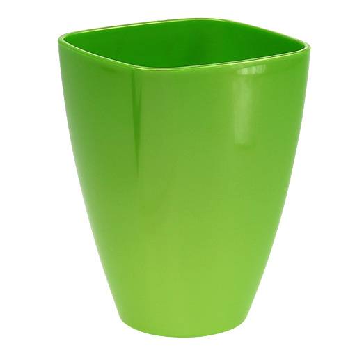 Orkidearukku kiiltävä Ø12,5cm lime 1 kpl