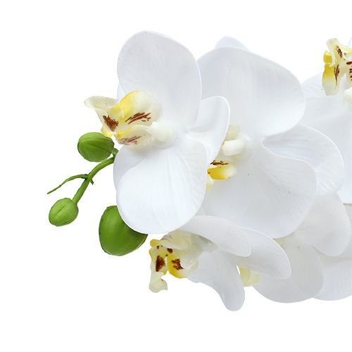 kohteita Orkideahaara valkoinen L58cm