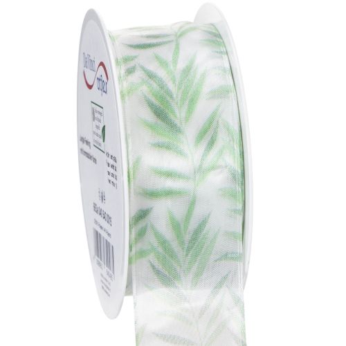 Floristik24 Organzanauha, sifonkinauha, vihreä kasvinauha, 40 mm x 15 m