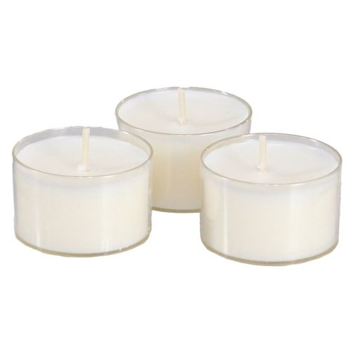 Floristik24 PURE Nature Lights Tealights Rapsivaha Ø38mm 40 kpl