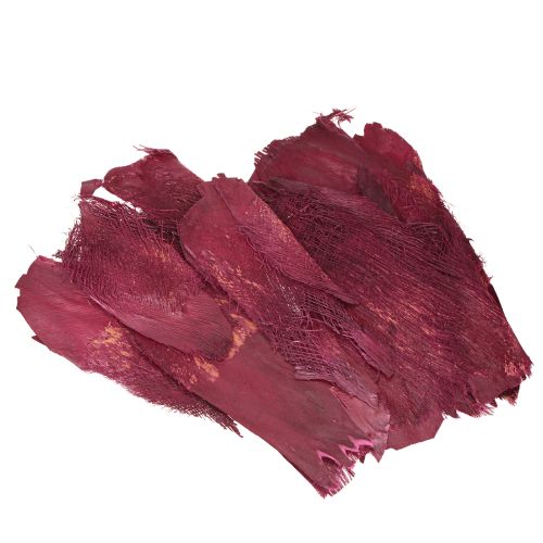 Floristik24 Palmukuitu luonnonkoriste luonnonkuitu marja 25-50cm 250g