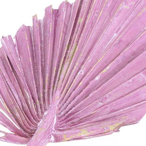 kohteita Palmspear Mix Pink Berry, White Washed Memorial Floristry 65 kpl