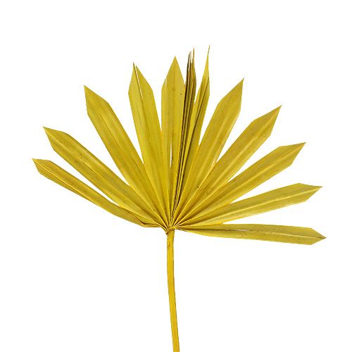 kohteita Palmspear Sun mini keltainen 50kpl