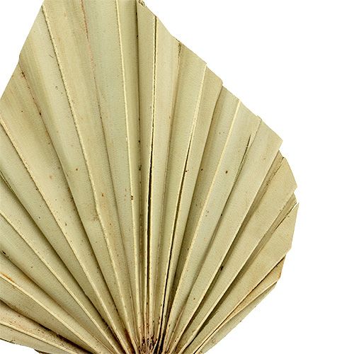 kohteita Palmspear mini nature 100 kpl