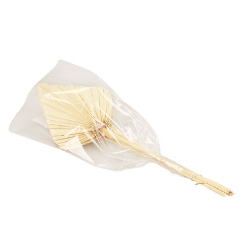 Floristik24 Palmspear palmulehtiä luonnollinen koriste valkaistu 12,5×38cm 4 kpl