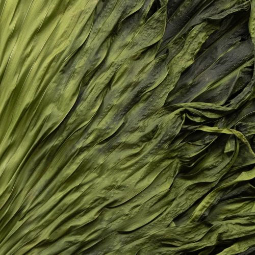 kohteita Palmunlehtien koristelu eksoottisiin asetelmiin ja pöytäkoristeluun